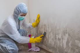 Mold Remediation for Rental Properties in Honesdale, PA